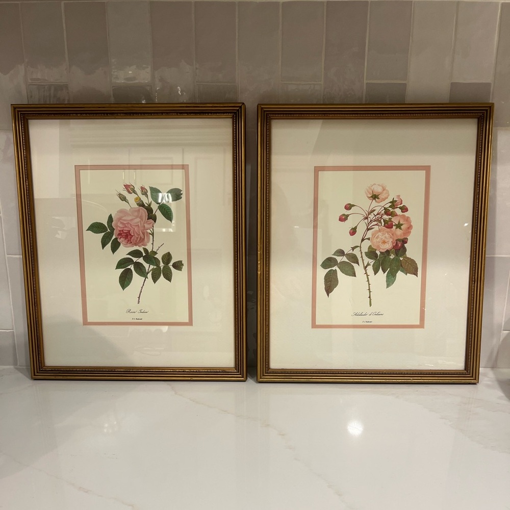 Old Money Aesthetic Rose Floral Wall Art Matted in Gold Frame